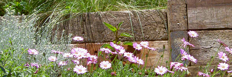 flowers5